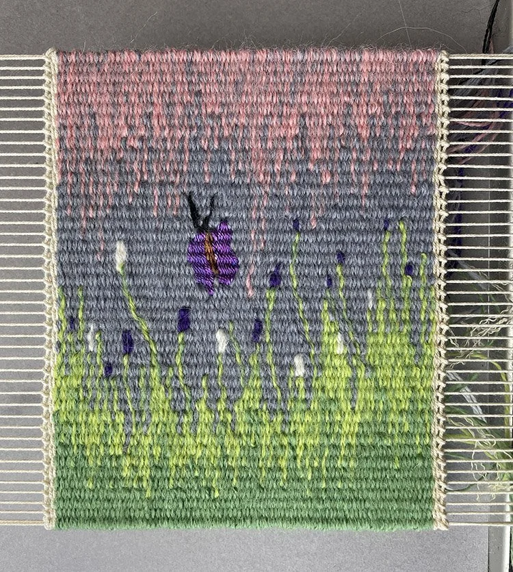 Tapestry Discovery Box — Rebecca Mezoff